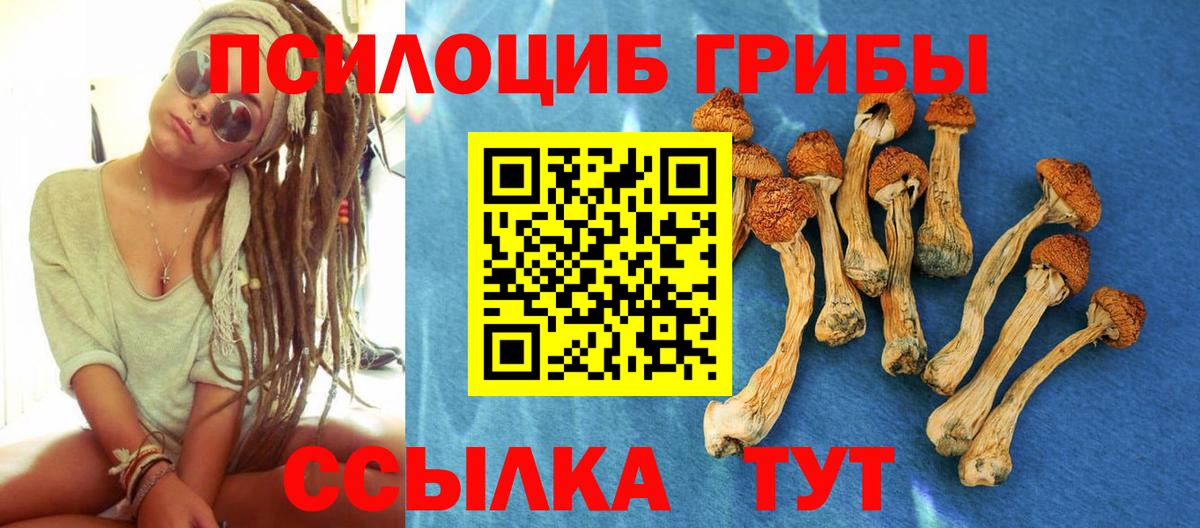 Галлюциногенные грибы Psilocybine cubensis Орехово-Зуево